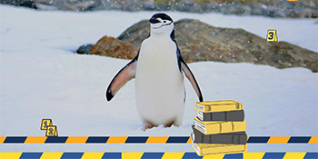 Littérature | Polars polaires : dévorons le polar !