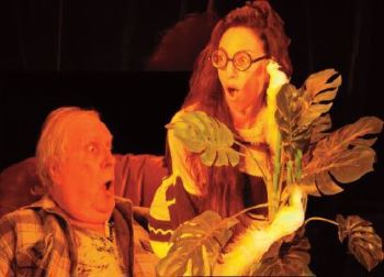 Théâtre L'Astrolabe | La femme sous la robe