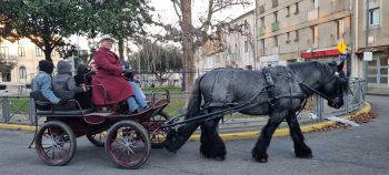 Balade en calèche dans les rues du centre-ville