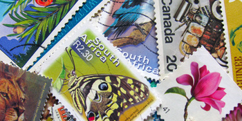 20ème salon multi-collections