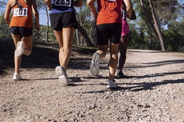 Cross solidaire