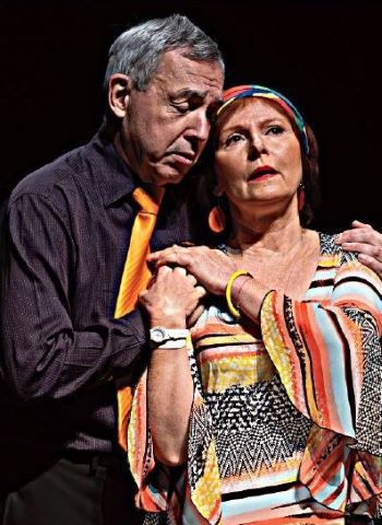 Théâtre L'Astrolabe | En fourrière