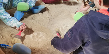 Atelier | Découverte du monde des dinosaures