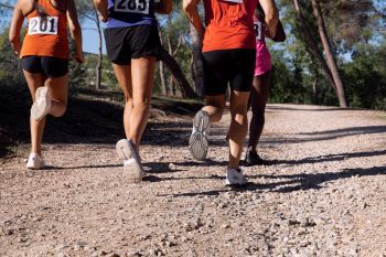 Cross solidaire des écoles